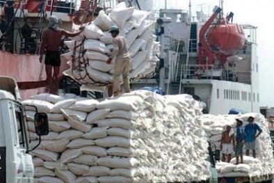 Cạnh tranh gay gắt xuất khẩu gạo